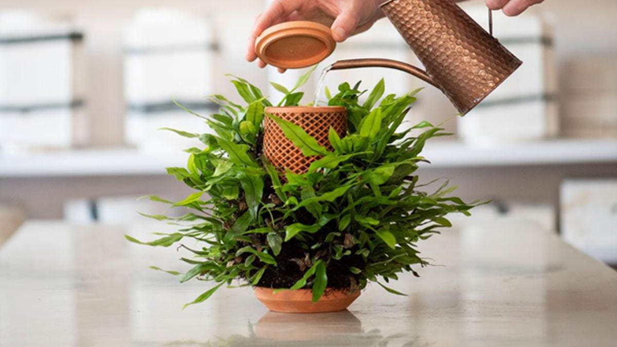 terraplanter-dirtless-planter-kickstarter