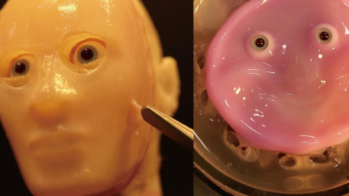 The image shows a yellow humanoid robot face covered with living skin, and a pink smiling face made from living skin