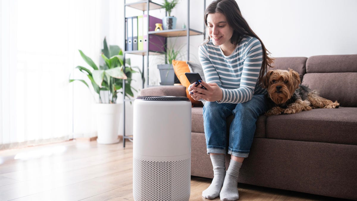 Woman with her pet and an air purifier for allergies