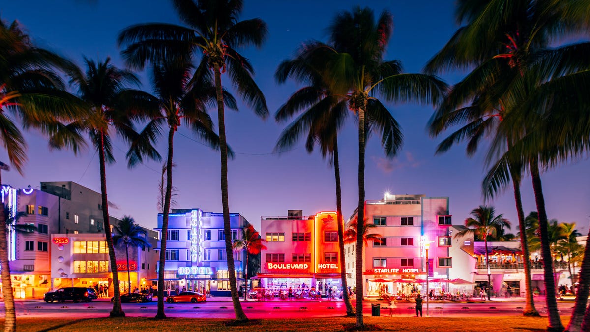 A photo of a street of houses and palm trees in Miami gettyimages-2159040842