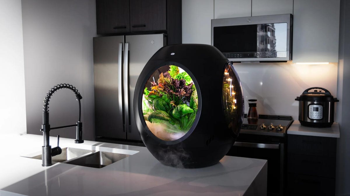 black indoor garden sitting on the island of a kitchen