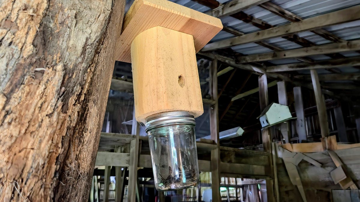 A DIY carpenter bee trap on a post in a barn