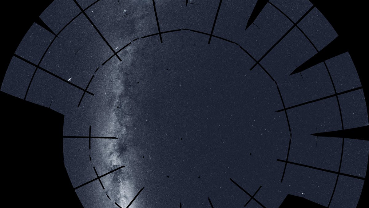 tess-north-hires-azeq-no-labels-medium