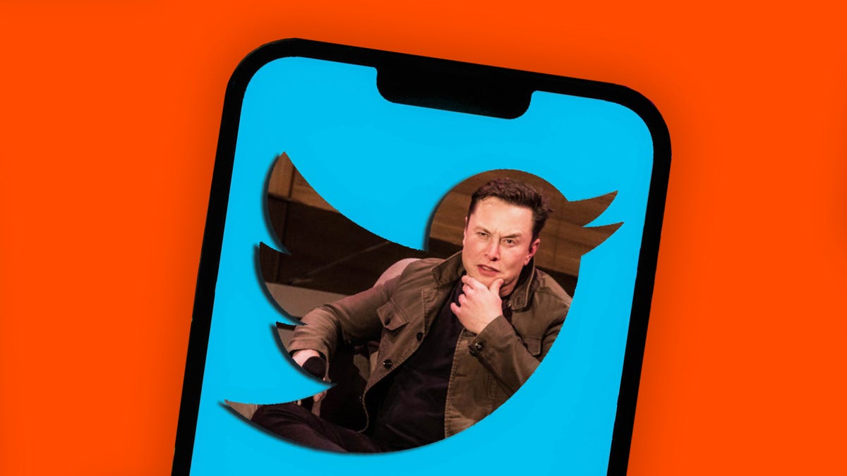 A phone shows a picture of Elon Musk inside the shape of the Twitter logo.