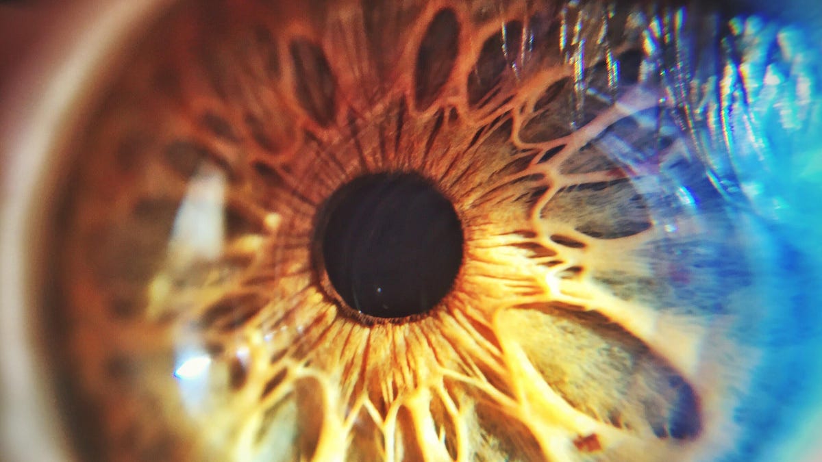 gettyimages-1012078320