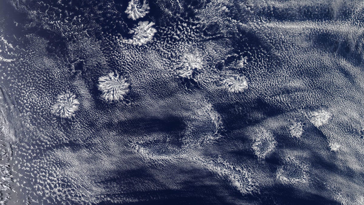 indianocean-amo-2020029-lrg