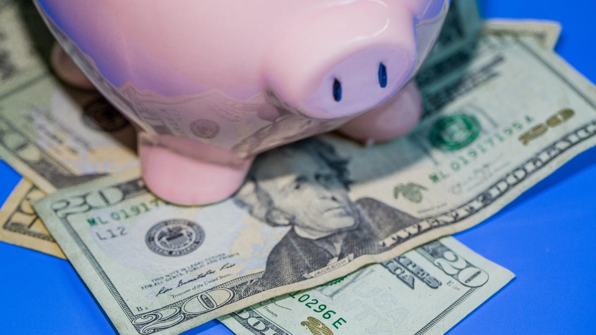 dollars-money-bills-currency-piggy-bank-3