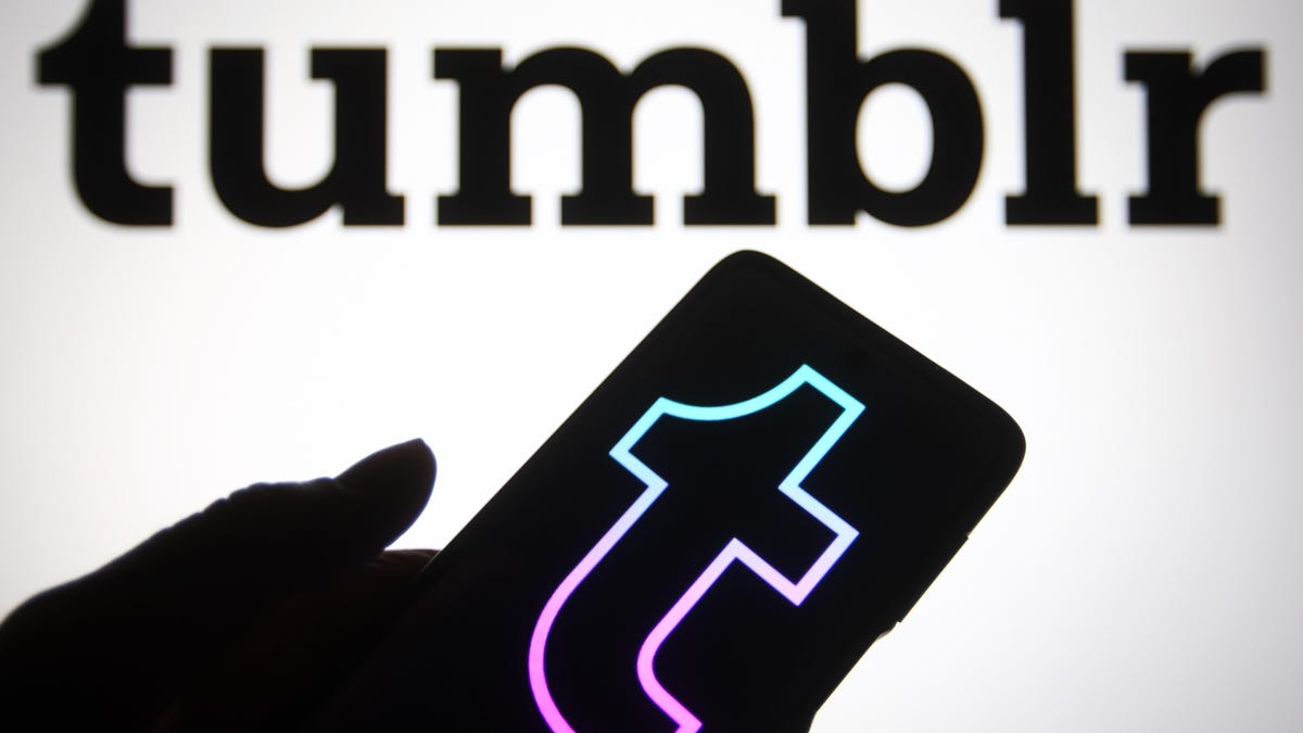 Tumblr logo on a phone with company name on a screen behind it