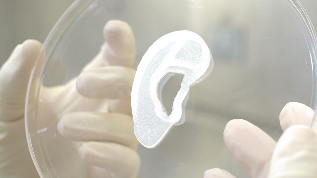 The 3D printed ear showcased on a large glass dish.