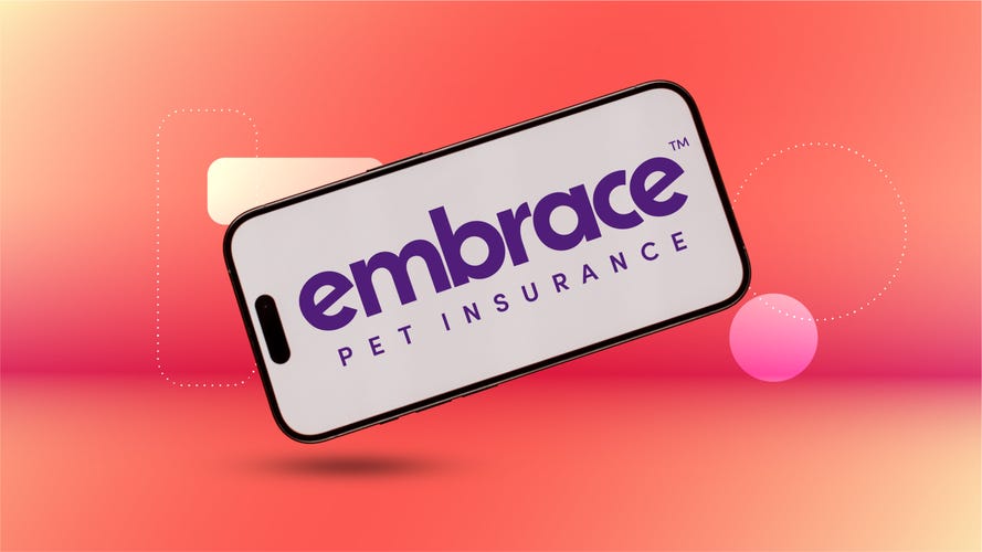 Embrace pet insurance logo on a smartphone