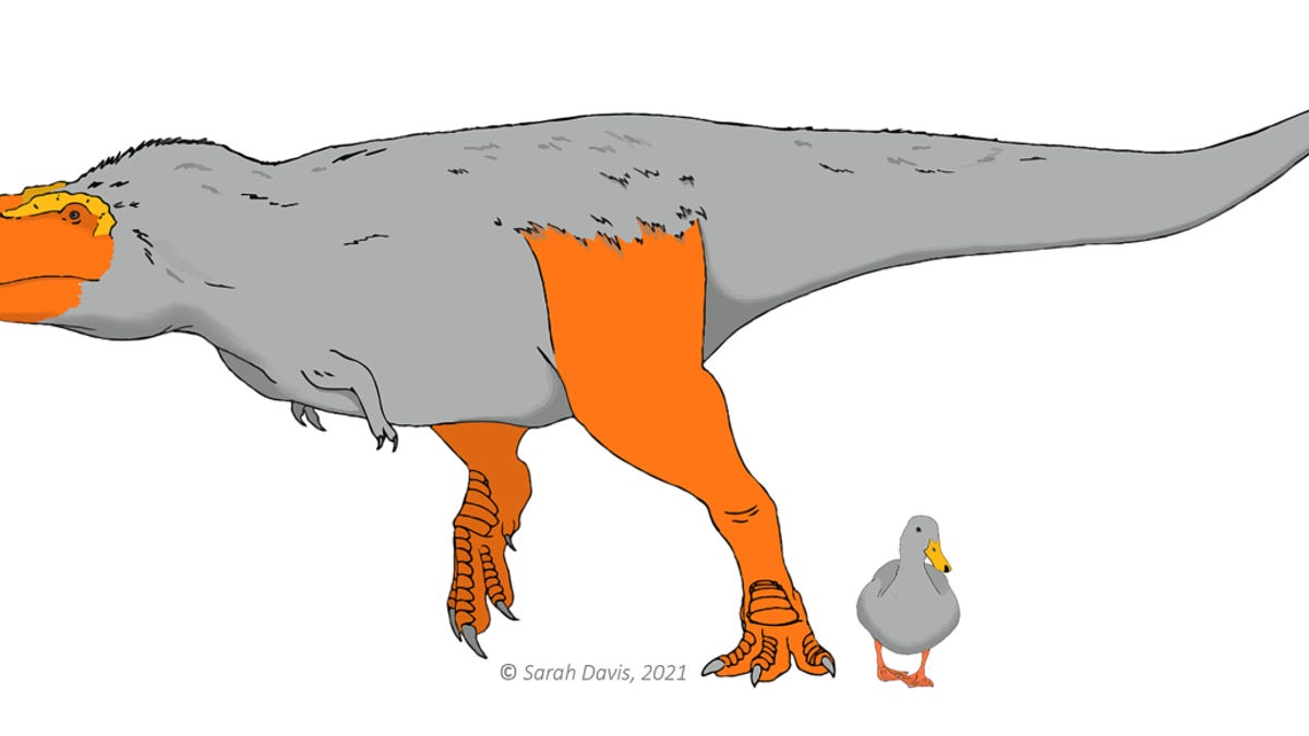 duck-and-dino-web-1-1200x800-c-default.png