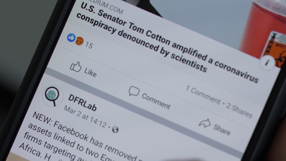 tom-cotton-misinformation