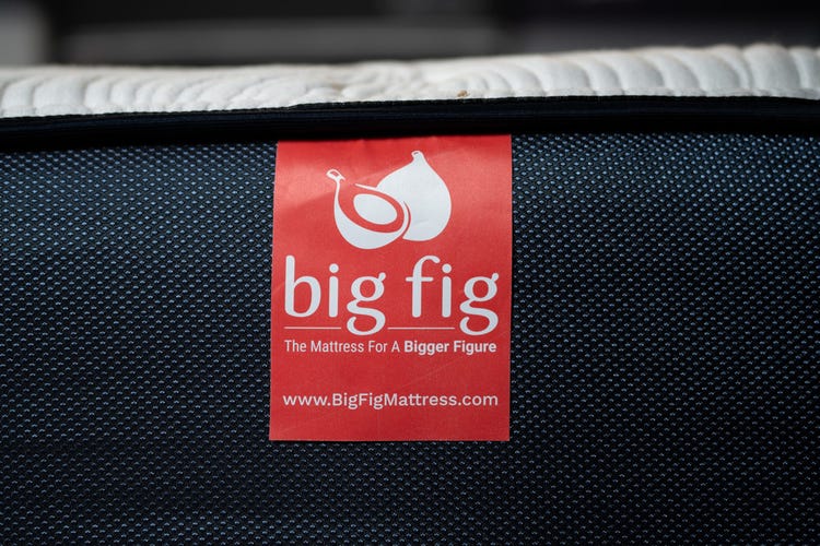 big-fig-mattress-2024-logo-dl-jg-8.jpg