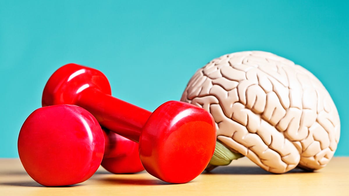 Dumbells and model brain