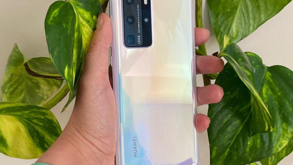 photo5469669830056586296