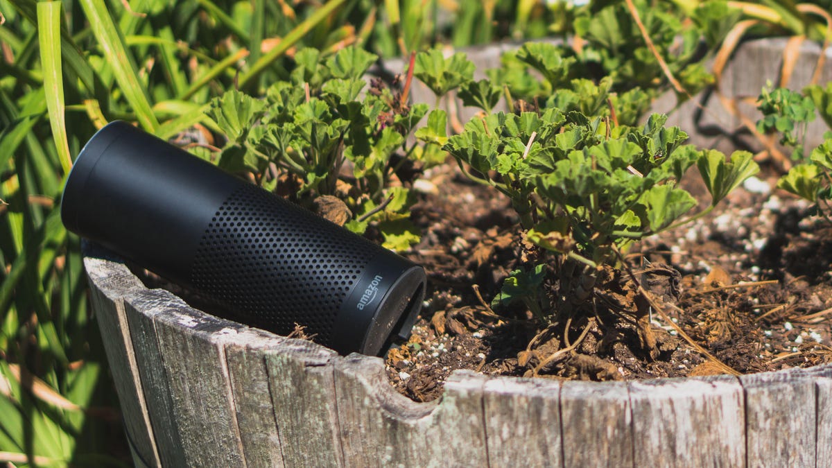 Echo device sitting outside