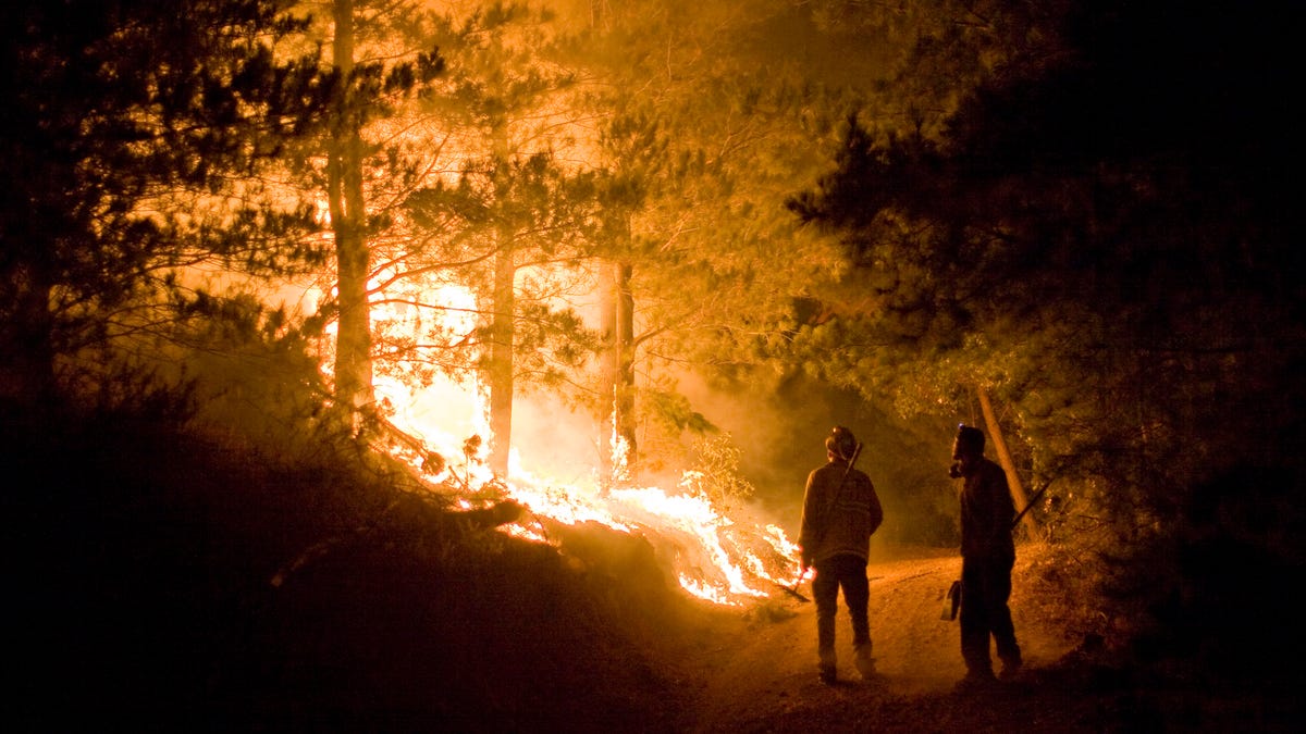 Firefighters take a moment to observe flames.