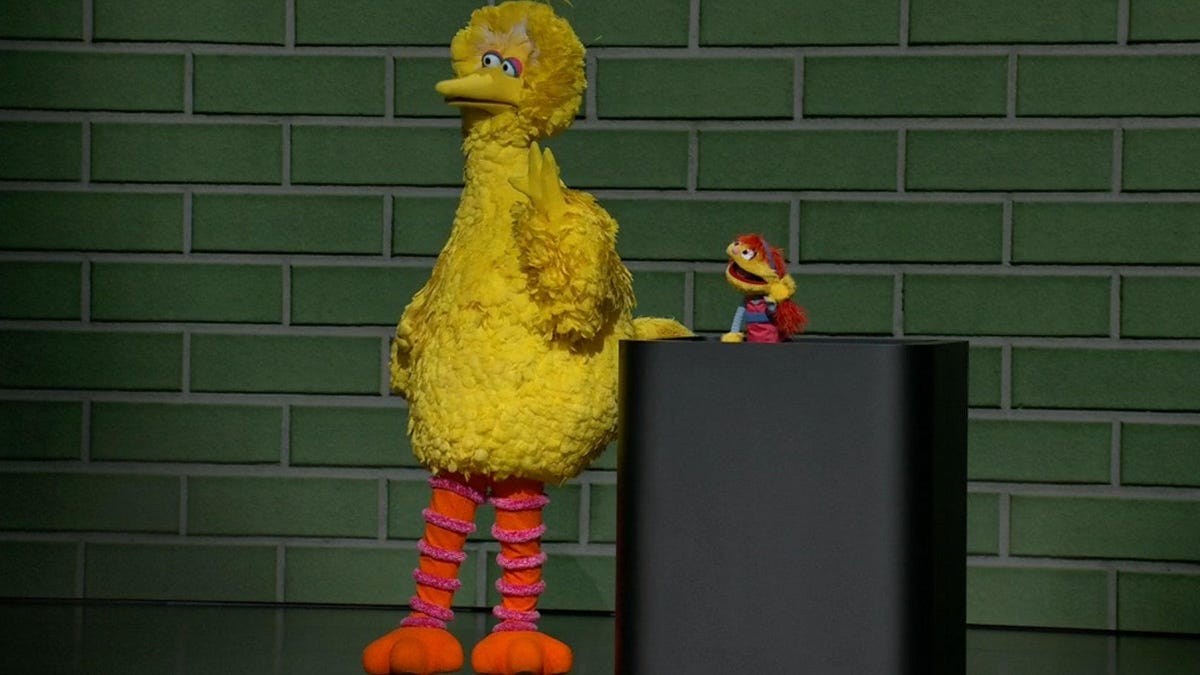 bigbird
