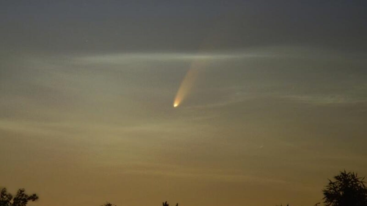 jan-tlaskal-komnlc-1594049639