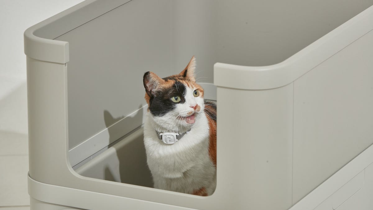 PurrSong LavvieBox LavvieTag CES 2022