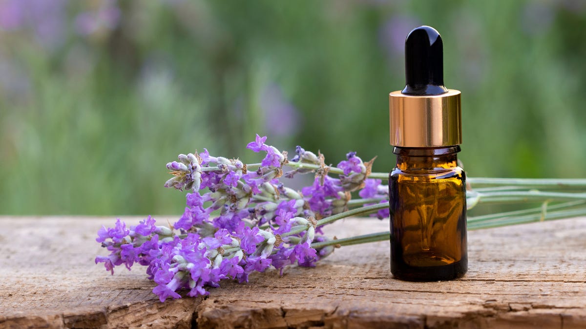 Lavender essential oil
