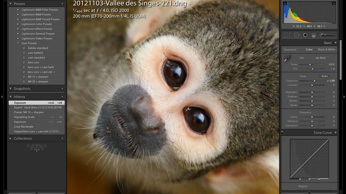 Support for Apple's Retina displays and other high-DPI screens is helpful for judging fine details like wispy hair.
