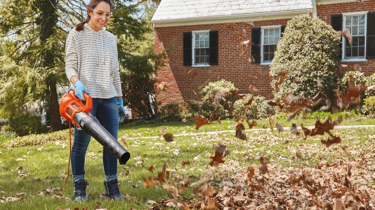 black-and-decker-leaf-blower1