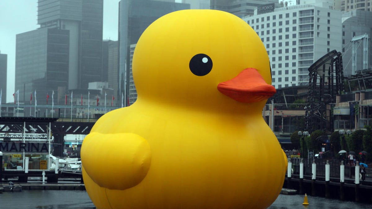 rubber-duck-eva-rinaldi-flickr-cc-by-sa-20