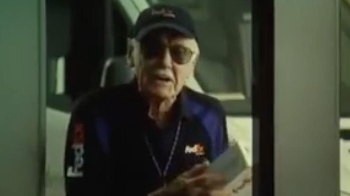 stanleefedexcameo