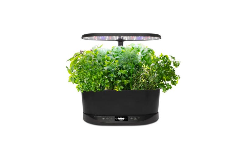 AeroGarden Bounty Basic