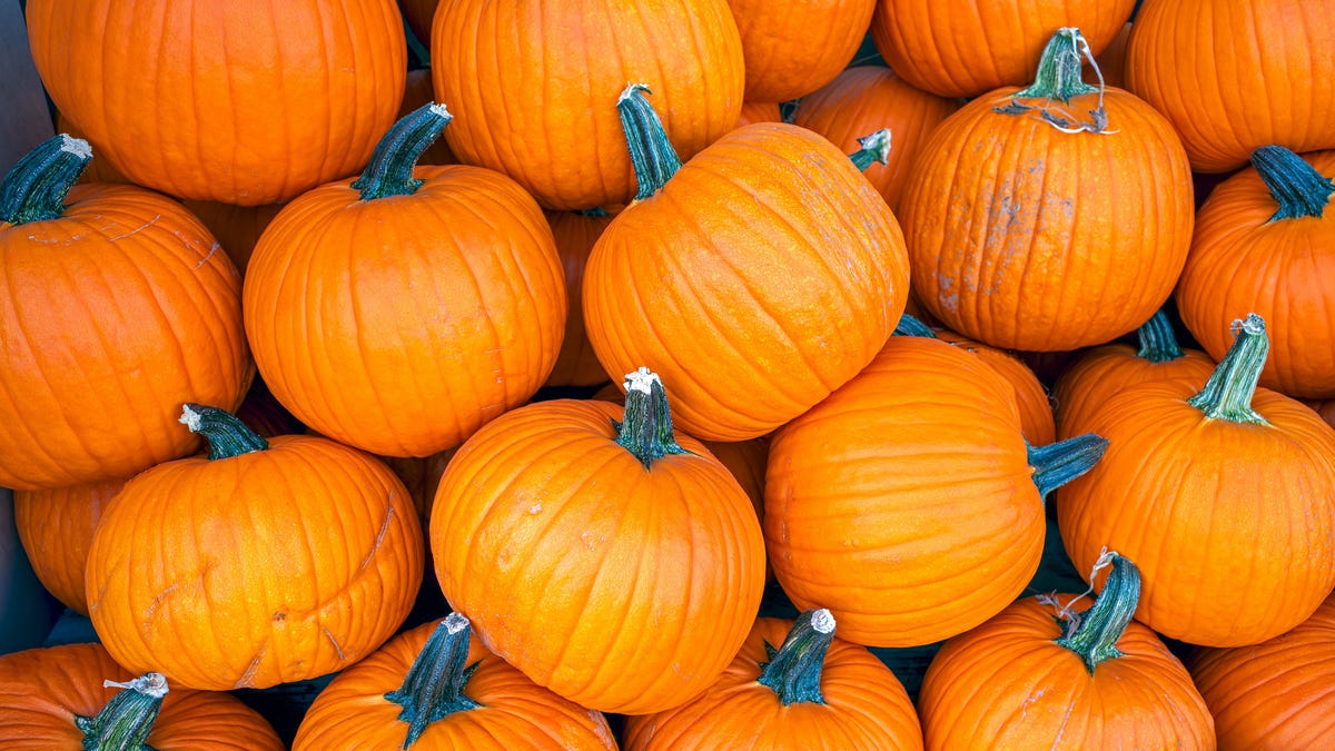 Pumpkins gathered together in a pile