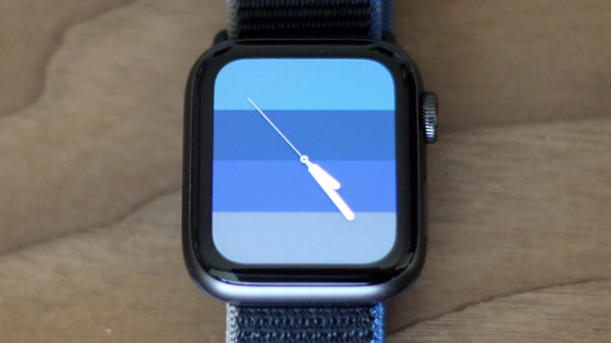 apple-watch-se-crop.png