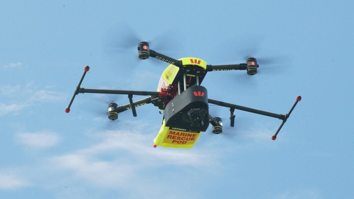 AUSTRALIA-ANIMAL-SHARK