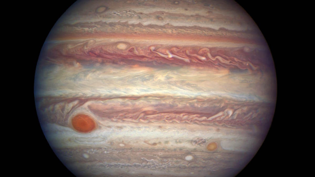 portrait-of-jupiter-6