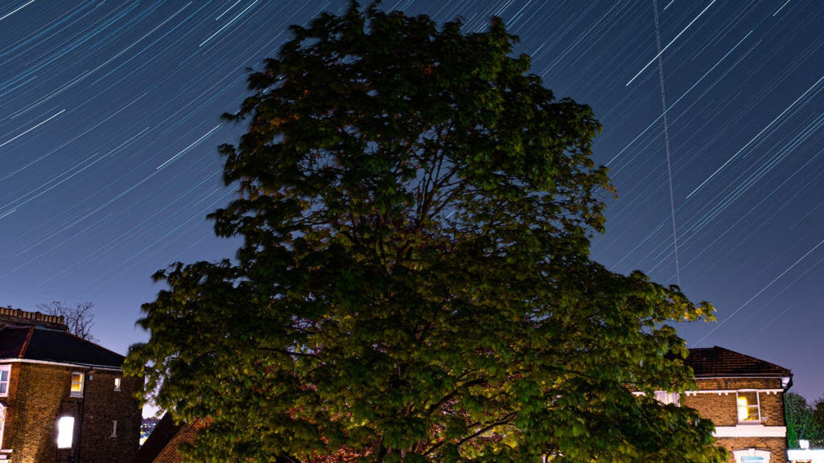 lyrids-combined-image-gettyimages-1220044659