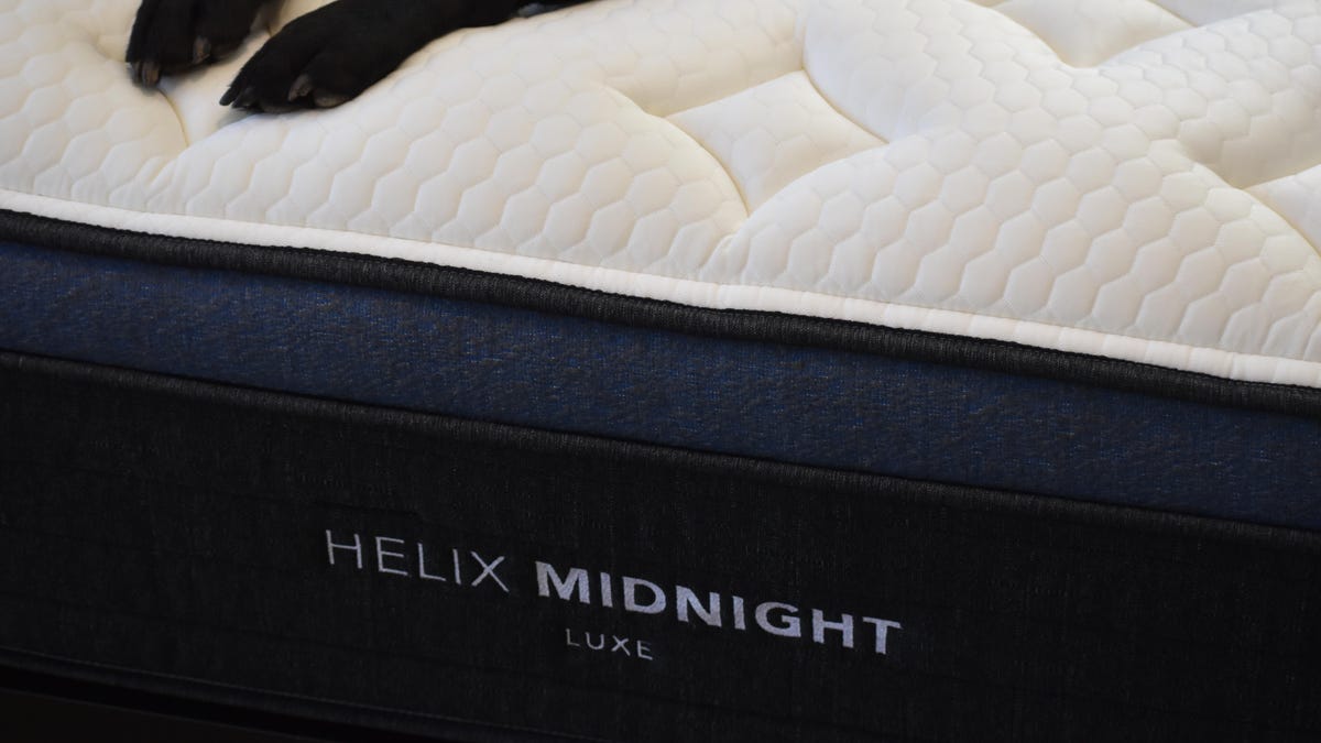 Helix Midnight Luxe in Caroline Igo's home. Two dog paws on the bed.