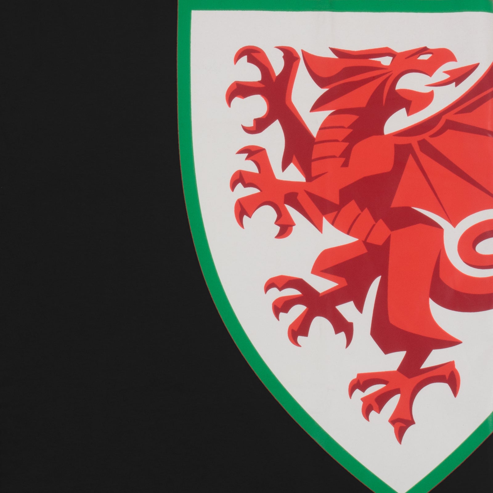Wales FA kid�s crest T-shirt in black with large national crest print to front